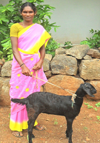 Radha